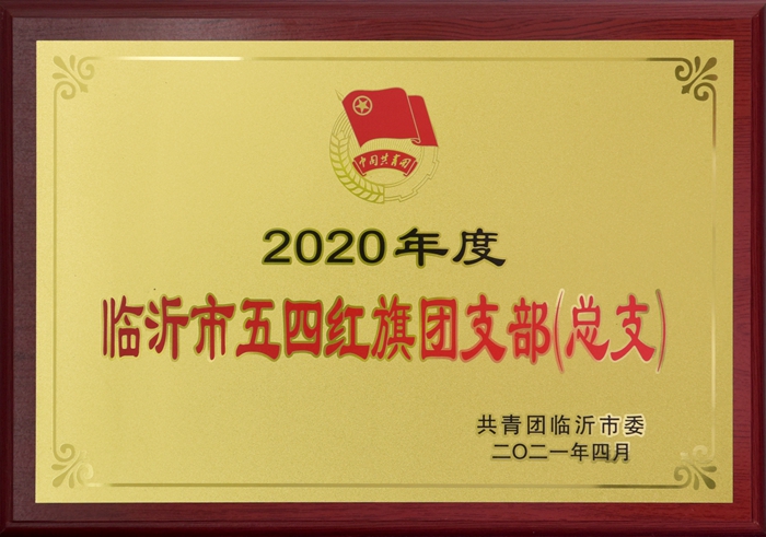 2020年度臨沂市五四紅旗團支部（總支）(圖1)